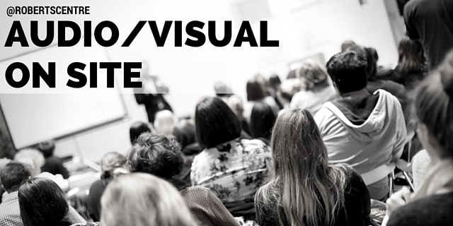 people in an audio visual conference