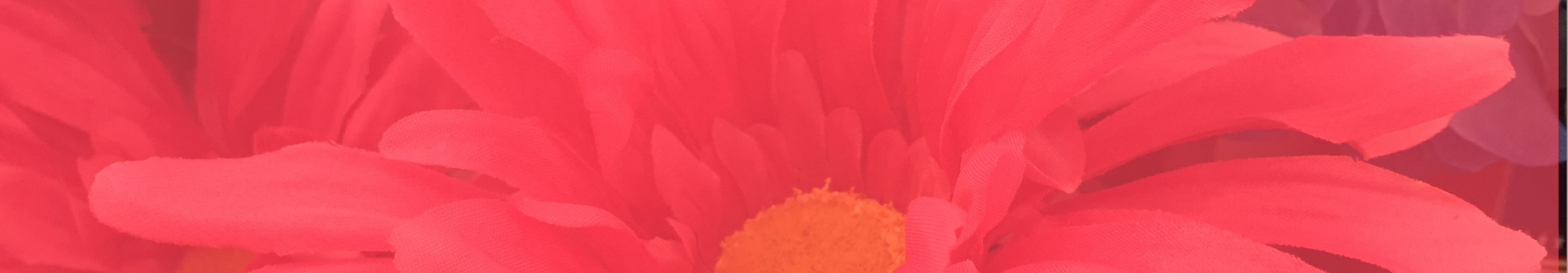 Diy Wedding Decorations On A Budget Roberts Centre